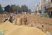 Paddy Scam: Major Action in the Paddy Procurement Scandal! Irregularities Worth ₹1.29 Crore... Orders Issued for FIRs Against 10 Employees.