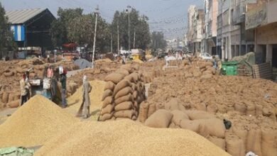 Paddy Scam: Major Action in the Paddy Procurement Scandal! Irregularities Worth ₹1.29 Crore... Orders Issued for FIRs Against 10 Employees.