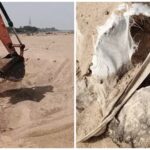 Sand Mafia: Sand Mafiosi Excavate Cremation Ground! 10 Human Skeletons Unearthed... Action Taken Against Illegal Mining... 5 Tractors Seized... Investigation Intensified.