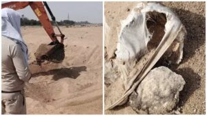 Sand Mafia: Sand Mafiosi Excavate Cremation Ground! 10 Human Skeletons Unearthed... Action Taken Against Illegal Mining... 5 Tractors Seized... Investigation Intensified.