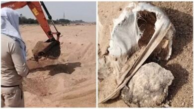 Sand Mafia: Sand Mafiosi Excavate Cremation Ground! 10 Human Skeletons Unearthed... Action Taken Against Illegal Mining... 5 Tractors Seized... Investigation Intensified.