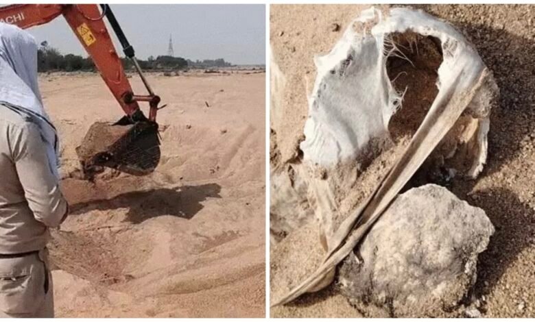 Sand Mafia: Sand Mafiosi Excavate Cremation Ground! 10 Human Skeletons Unearthed... Action Taken Against Illegal Mining... 5 Tractors Seized... Investigation Intensified.
