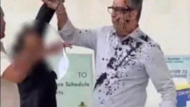 Maruti Suzuki Showroom: High-Voltage Drama at Bhilai's Maruti Showroom! Female Employee Throws Ink at CEO—Also Slaps and Kicks Him—Video Goes Viral.
