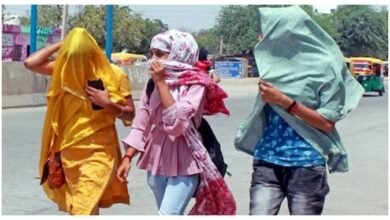 Nautapa: Starting May 25, the 'Nautapa' period will continue until June 2... Temperatures set to reach up to 48°C—IMD issues a warning.