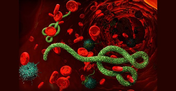 Ebola Alert: Panic Grips Chhattisgarh Amidst Fears of Ebola Outbreak! High Alert at Airports... Health Department Issues Strict Directives.