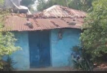 Family Murder Case: A Heart-Wrenching Massacre in Janjgir...! Brutal Murder of Four Members of the Same Family... Panic Grips the Village... Watch VIDEO
