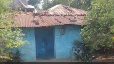 Family Murder Case: A Heart-Wrenching Massacre in Janjgir...! Brutal Murder of Four Members of the Same Family... Panic Grips the Village... Watch VIDEO