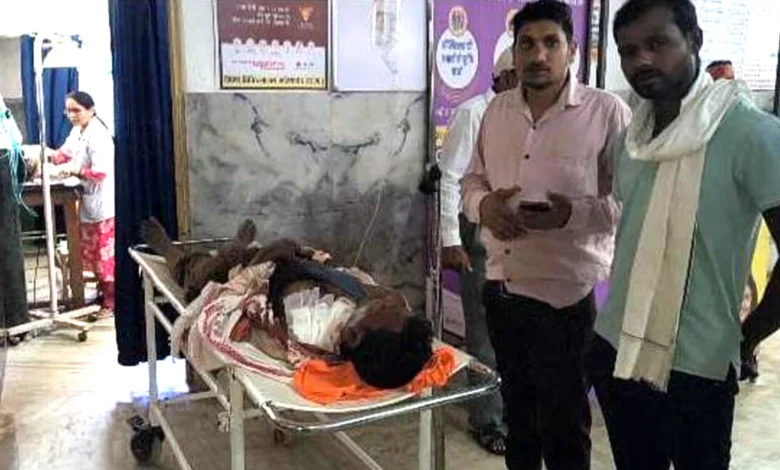 Bear Attack: Reign of Terror by Bears in Gariaband! 6 Bears Launch Deadly Attack on Two Villagers—Condition Critical.