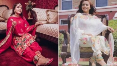 Punjabi Singer Murder Mystery: Famous Singer's Body Found in Canal...! Police Launch Investigation... Suspicion Deepens on Lover.