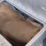 Train Murder Mystery: Gruesome Crime Aboard the Gomtinagar Express...! Young Woman's Body Found Severed into Five Pieces on Train... Head Missing.