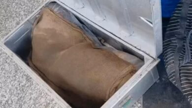 Train Murder Mystery: Gruesome Crime Aboard the Gomtinagar Express...! Young Woman's Body Found Severed into Five Pieces on Train... Head Missing.