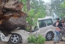 UP Storm Disaster: Storm Claims 54 Lives! Heartbreaking Scenes in Bhadohi—Entire Families Wiped Out by Falling Trees... Watch Here.