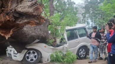 UP Storm Disaster: Storm Claims 54 Lives! Heartbreaking Scenes in Bhadohi—Entire Families Wiped Out by Falling Trees... Watch Here.
