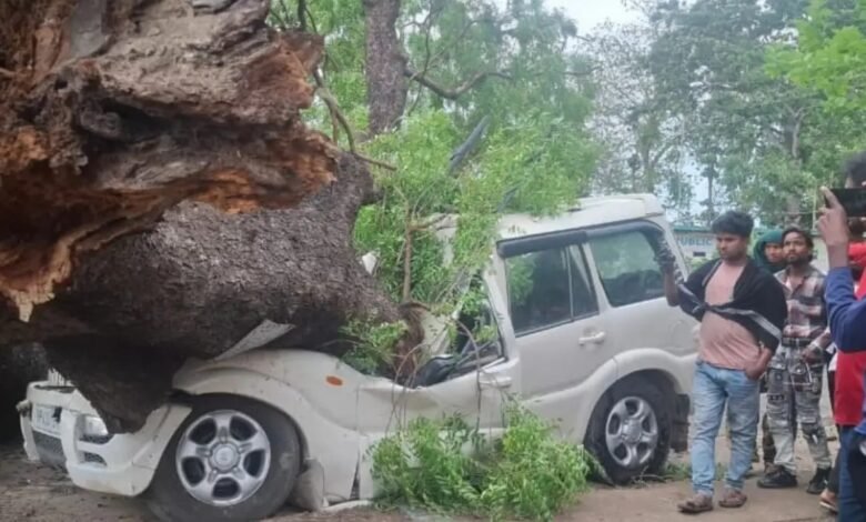 UP Storm Disaster: Storm Claims 54 Lives! Heartbreaking Scenes in Bhadohi—Entire Families Wiped Out by Falling Trees... Watch Here.