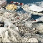 Bullion Trader Murder: Major breakthrough in the daylight murder of the trader...! 7 accused arrested... large quantity of gold and silver recovered... Watch VIDEO.