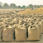 Paddy Storage Scam: Paddy on record, missing from the warehouse...! A major fraud has come to light in Durg... Collector takes strong action... FIR to be lodged if funds are not deposited within 4 days.