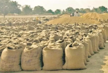 Paddy Storage Scam: Paddy on record, missing from the warehouse...! A major fraud has come to light in Durg... Collector takes strong action... FIR to be lodged if funds are not deposited within 4 days.
