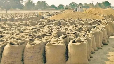Paddy Storage Scam: Paddy on record, missing from the warehouse...! A major fraud has come to light in Durg... Collector takes strong action... FIR to be lodged if funds are not deposited within 4 days.