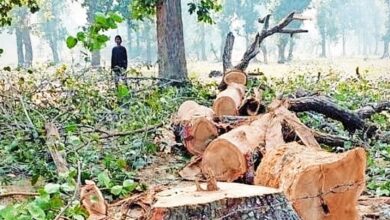 Save Forests: Approval granted to fell 2.8 million trees in 3 years...! Chhattisgarh ranks number one in the country... 400,000 trees axed for a single project in Surguja... Find out more here.
