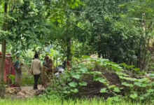 Child Safety: Barbaric act in Korba...! Father beaten in the forest... 12-year-old daughter molested after being threatened with a fake pistol... ₹30,000 looted.