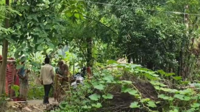 Child Safety: Barbaric act in Korba...! Father beaten in the forest... 12-year-old daughter molested after being threatened with a fake pistol... ₹30,000 looted.