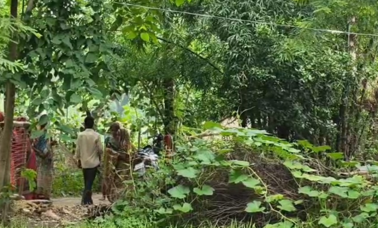 Child Safety: Barbaric act in Korba...! Father beaten in the forest... 12-year-old daughter molested after being threatened with a fake pistol... ₹30,000 looted.
