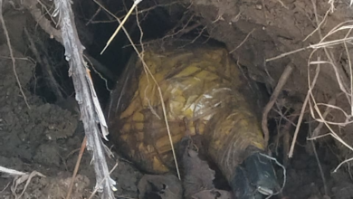 Naxal Operation: Bomb found in Kanker's Gattakal forest... Security forces destroyed it on the spot... 3 kg IED recovered.