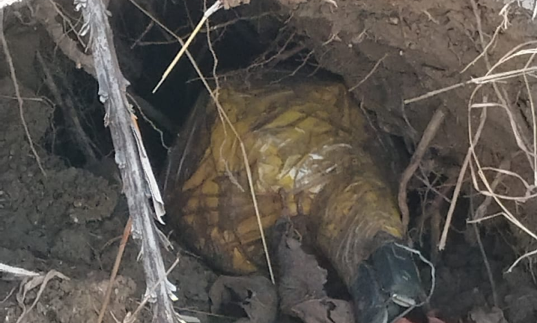 Naxal Operation: Bomb found in Kanker's Gattakal forest... Security forces destroyed it on the spot... 3 kg IED recovered.