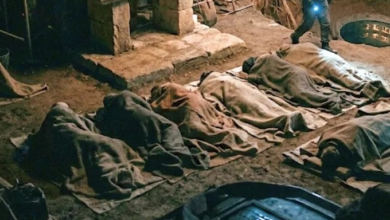 Balodabazar Mystery Deaths: Eight deaths following the same pattern...! Rumors of human sacrifice in the village spark a sensation... Seven bodies exhumed one by one... Investigation underway.