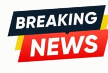Promotion: Major administrative reshuffle...! 12 Tehsildars promoted to Deputy Collector... new postings to alter the equation.