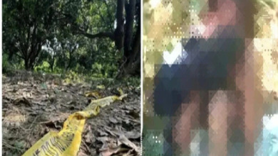 Savagery in the Forest: Unspeakable brutality in Kotrahi forest...! Three youths held a brother captive and gang-raped his sister.