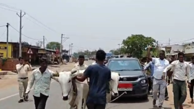 Petrol Pump: A unique protest in Balodabazar! When a Zila Panchayat member was denied diesel, he had his car towed by bullocks to the petrol pump... Watch the VIDEO.