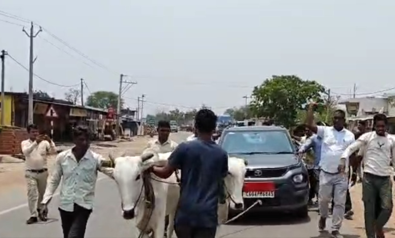 Petrol Pump: A unique protest in Balodabazar! When a Zila Panchayat member was denied diesel, he had his car towed by bullocks to the petrol pump... Watch the VIDEO.