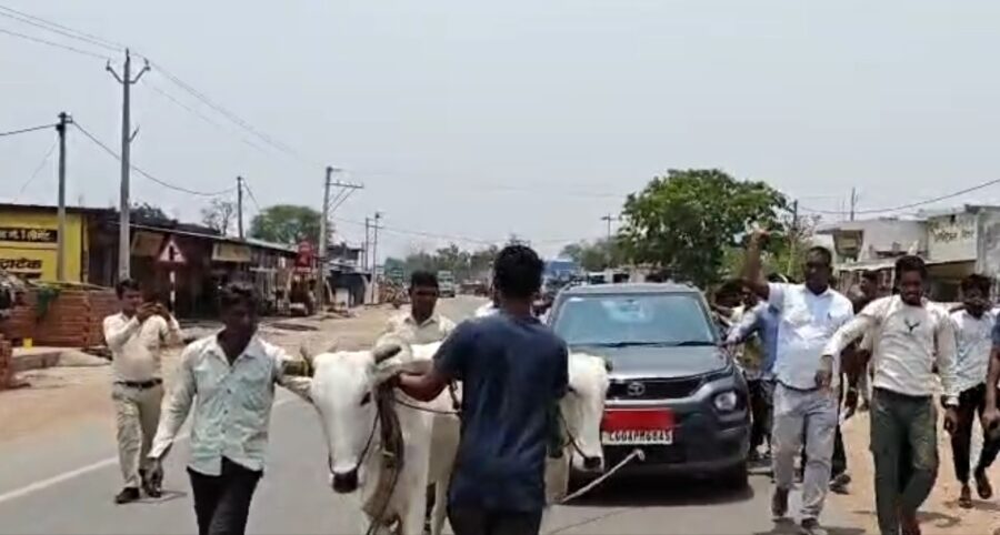 Petrol Pump: A unique protest in Balodabazar! When a Zila Panchayat member was denied diesel, he had his car towed by bullocks to the petrol pump... Watch the VIDEO.