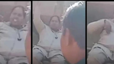 Wild Boar Hunting: Hunters let off after paying ₹2 lakh...! Allegations of a bribe in a wild boar hunting case... Uproar in the Forest Department as a video of the Deputy Ranger goes viral... Watch it here.