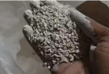 Gutkha Factory: A gutkha factory was operating under the guise of a washing powder unit...! Durg Police busted the operation; the accused fled after switching off his mobile phone.