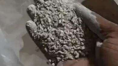 Gutkha Factory: A gutkha factory was operating under the guise of a washing powder unit...! Durg Police busted the operation; the accused fled after switching off his mobile phone.