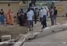 Thunderstorm: Havoc caused by a fierce storm in MCB! Massive tree falls in Railway Colony; woman critically injured—watch the video here.