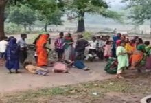 Overloading Accident: Major road accident in Korba...! Pickup truck carrying factory workers crashes into a tree... 3 critically injured.
