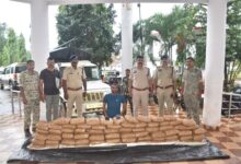 Bastar Ganja Seized: Major operation by Bastar Police...! 214 ​​kg of cannabis worth ₹1.07 crore seized... the consignment was en route from Odisha to UP.