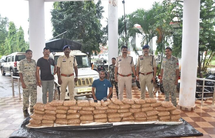 Bastar Ganja Seized: Major operation by Bastar Police...! 214 ​​kg of cannabis worth ₹1.07 crore seized... the consignment was en route from Odisha to UP.