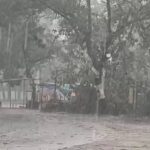 Heavy Rain: Torrential downpour wreaks havoc in Korba! 381.8 mm of rainfall recorded up to July 20; Darri and Pali emerge as the wettest areas.
