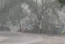 Heavy Rain: Torrential downpour wreaks havoc in Korba! 381.8 mm of rainfall recorded up to July 20; Darri and Pali emerge as the wettest areas.