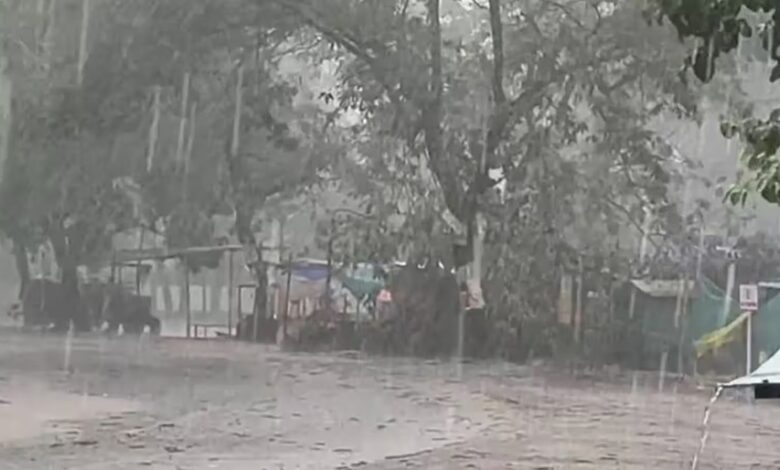 Heavy Rain: Torrential downpour wreaks havoc in Korba! 381.8 mm of rainfall recorded up to July 20; Darri and Pali emerge as the wettest areas.