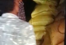 Fertilizer Black Marketing: Crackdown on fertilizer black marketing in Chhattisgarh... 275 bags of urea seized.