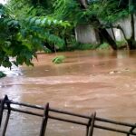 Chhattisgarh Weather Alert: Rain wreaks havoc in Chhattisgarh...! Torrential rain warning for 12 districts, including Raipur, Durg, and Korba.