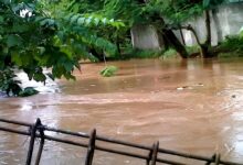 Chhattisgarh Weather Alert: Rain wreaks havoc in Chhattisgarh...! Torrential rain warning for 12 districts, including Raipur, Durg, and Korba.