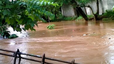 Chhattisgarh Weather Alert: Rain wreaks havoc in Chhattisgarh...! Torrential rain warning for 12 districts, including Raipur, Durg, and Korba.