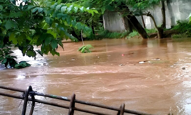 Chhattisgarh Weather Alert: Rain wreaks havoc in Chhattisgarh...! Torrential rain warning for 12 districts, including Raipur, Durg, and Korba.