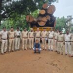 Illegal Timber Smuggling: Timber smuggling network spanning from Korba to Raipur exposed! 20 cubic meters of Sal wood seized... illegal Sal timber worth crores recovered.